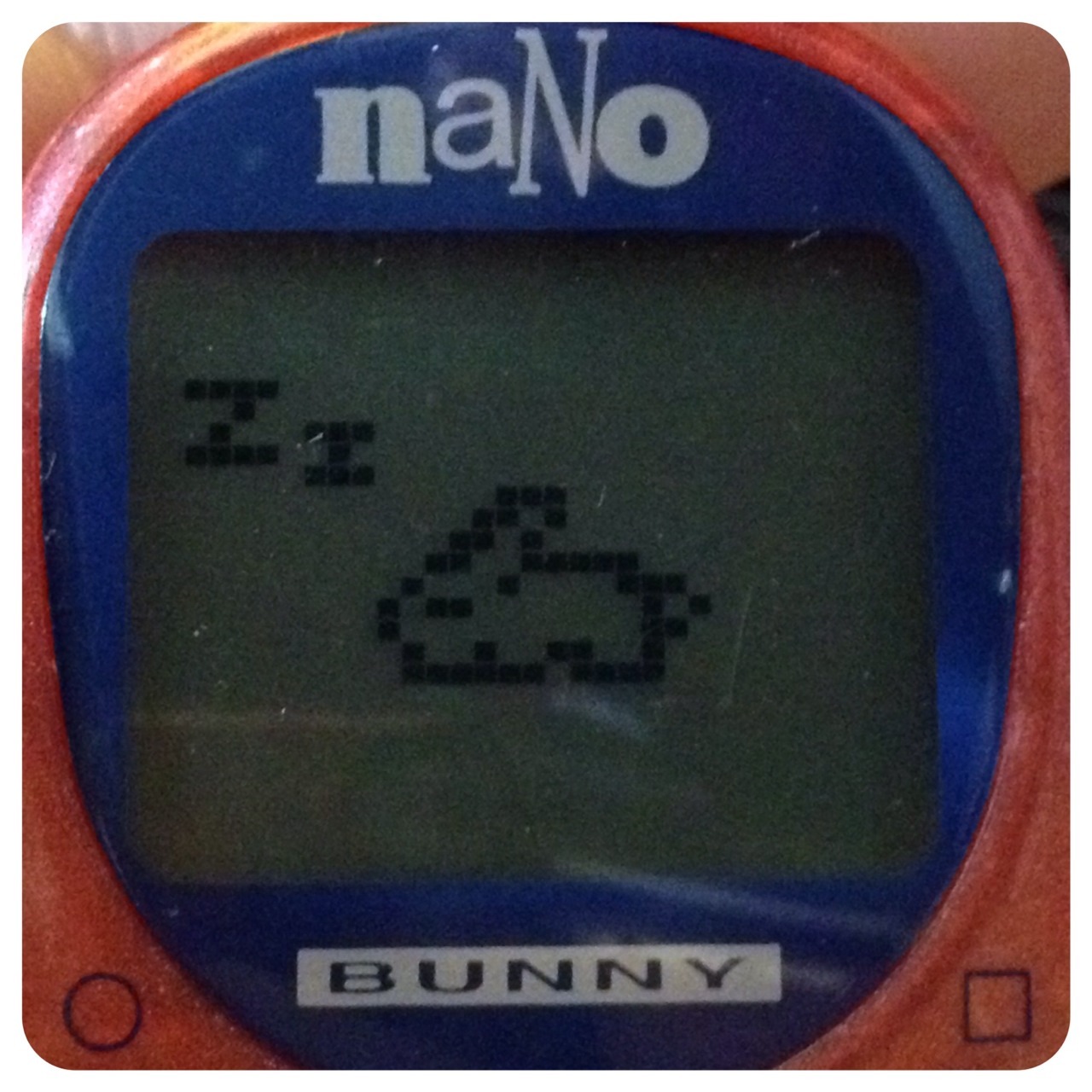 Nano Bunny Snooze